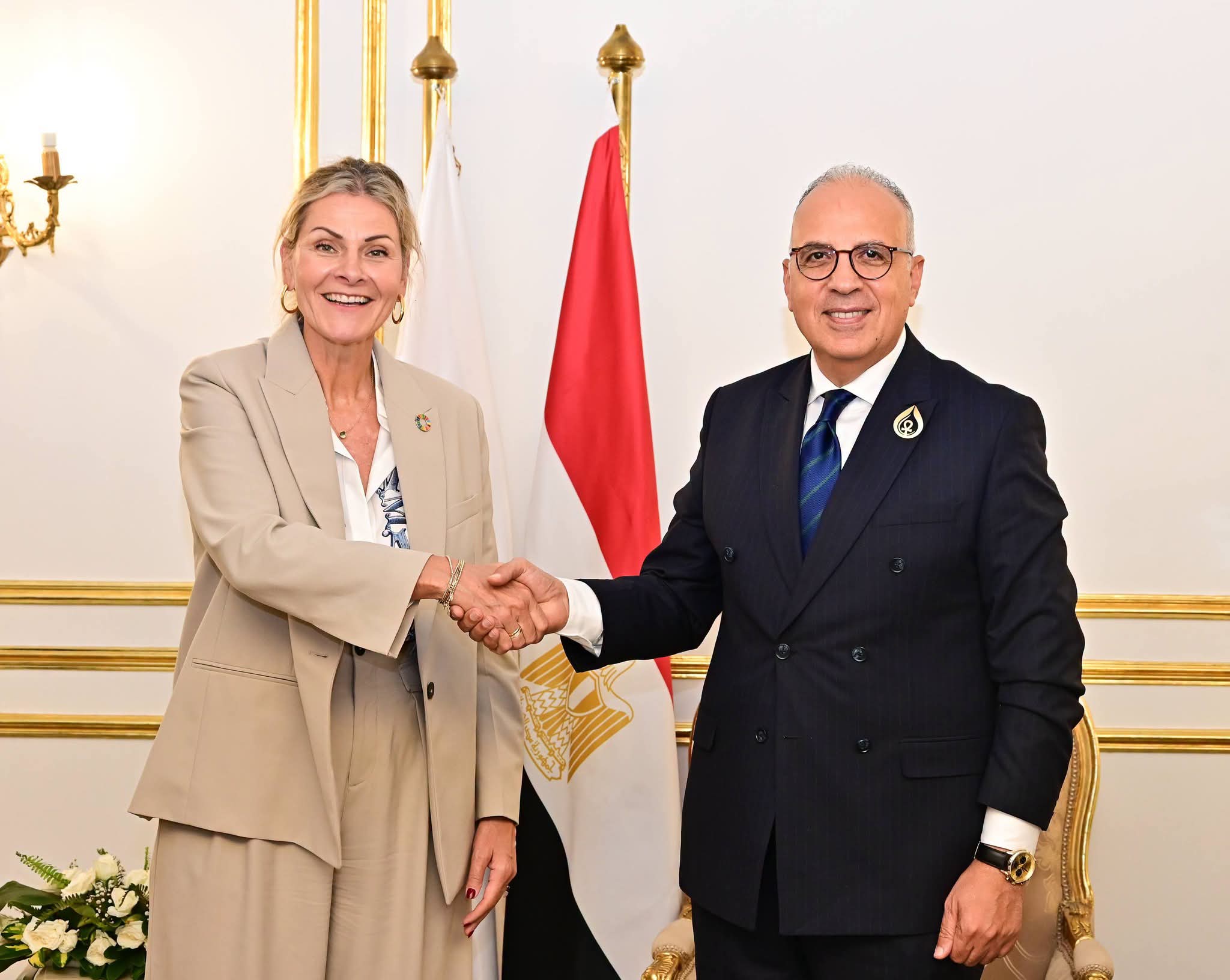وزير الري يبحث مع 