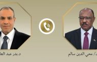 وزيرا خارجية مصر والسودان يبحثان تعزيز العلاقات الثنائية في شتى المجالات