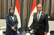 مصر واليمن تبحثان دعم الاستقرار السياسي